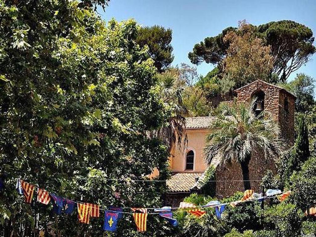 183 D23 BORMES LES MIMOSAS 1_000038.jpg